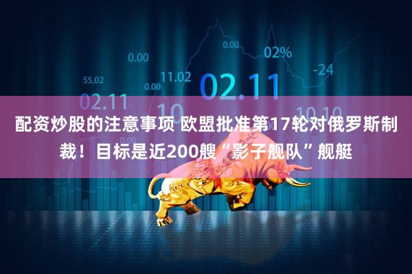配资炒股的注意事项 欧盟批准第17轮对俄罗斯制裁！目标是近200艘“影子舰队”舰艇